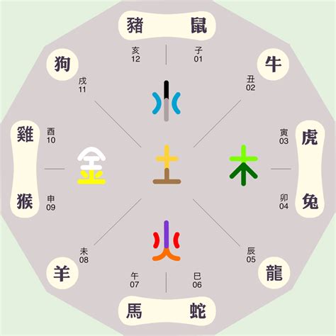 天干12支|何为“天干地支”？ 详解“天干地支”的具体含义